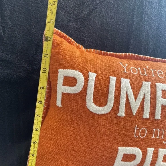 NWT Set of 2 Hobby Lobby Orange and White Accent Pillows - Picture 3 of 7